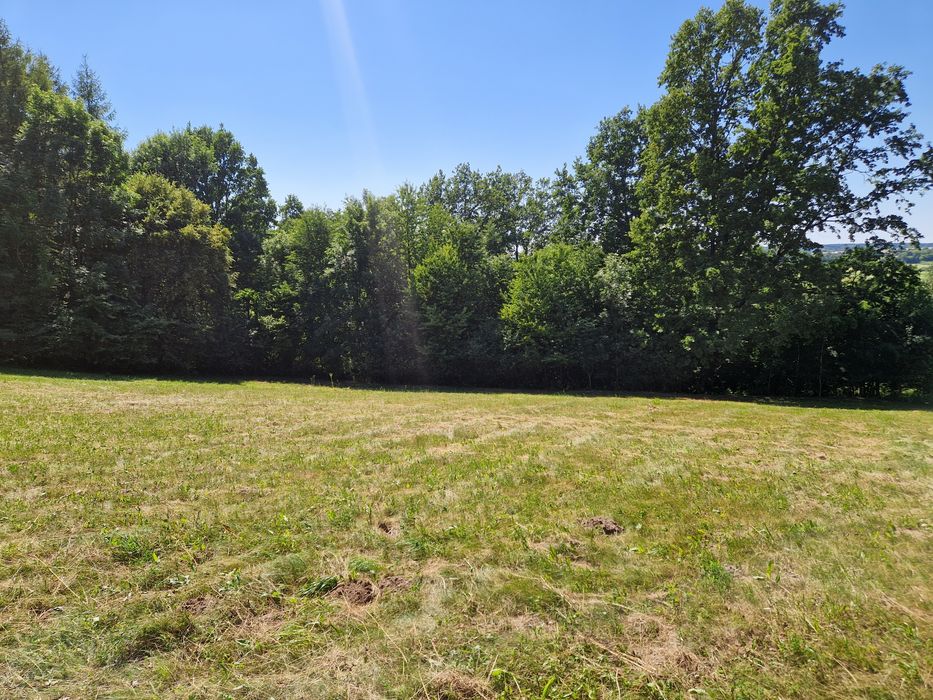 Działka inwestycyjna z wydanymi warunkami zabudowy