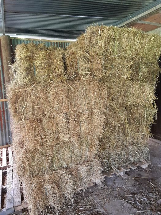 Vende-se fardos palha