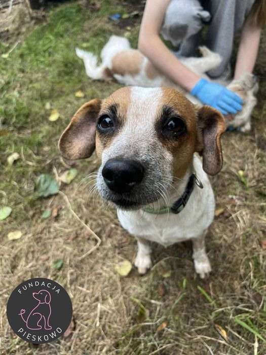 Sonia szuka domu < 3