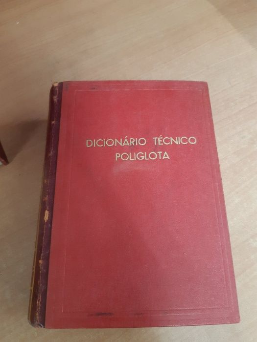 Dicionario do Poliglota em Portugues