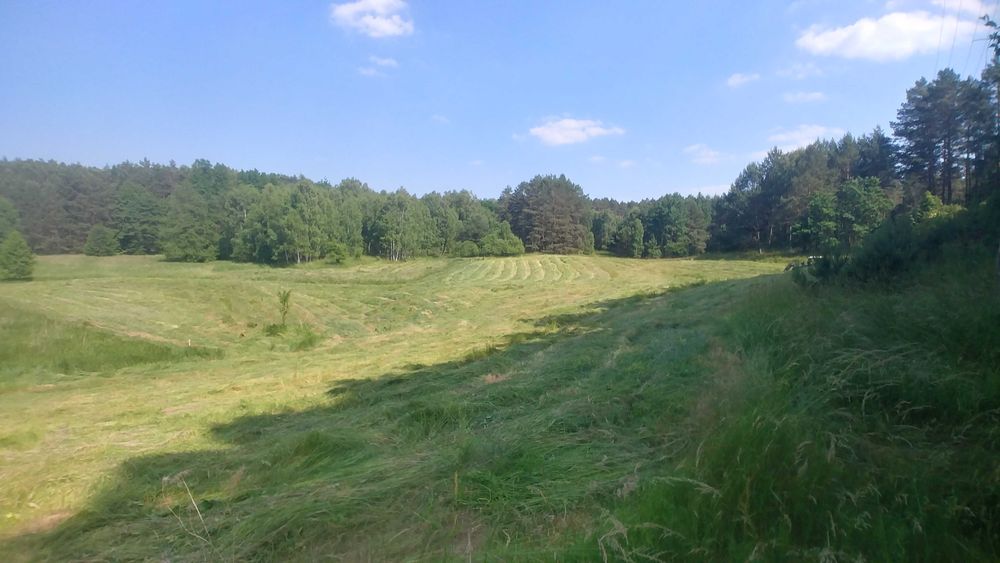 Działka 3,94ha w środku lasu z małym stawem tylko 14zł/m2