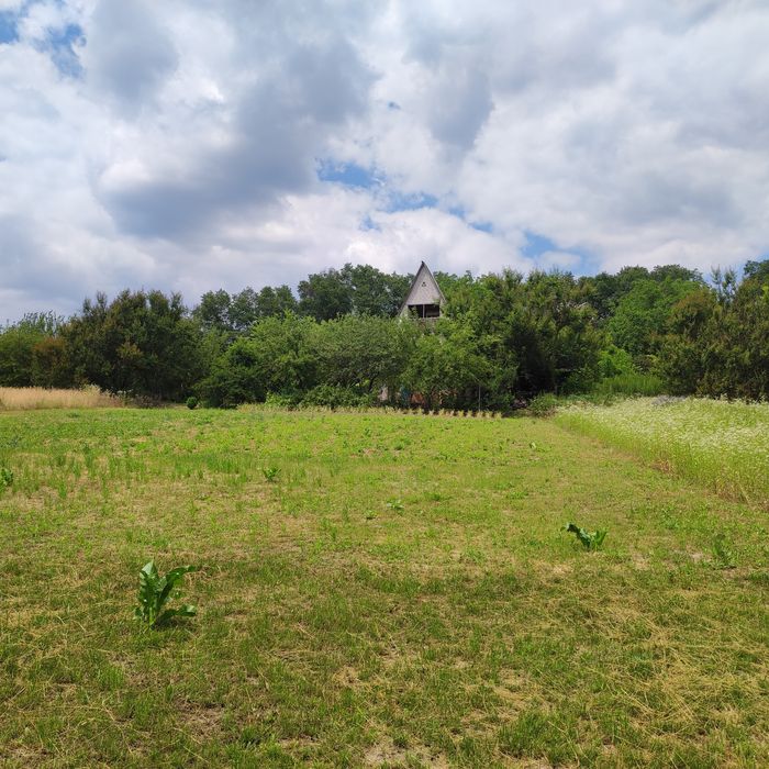 Продам будинок з земельною ділянкою