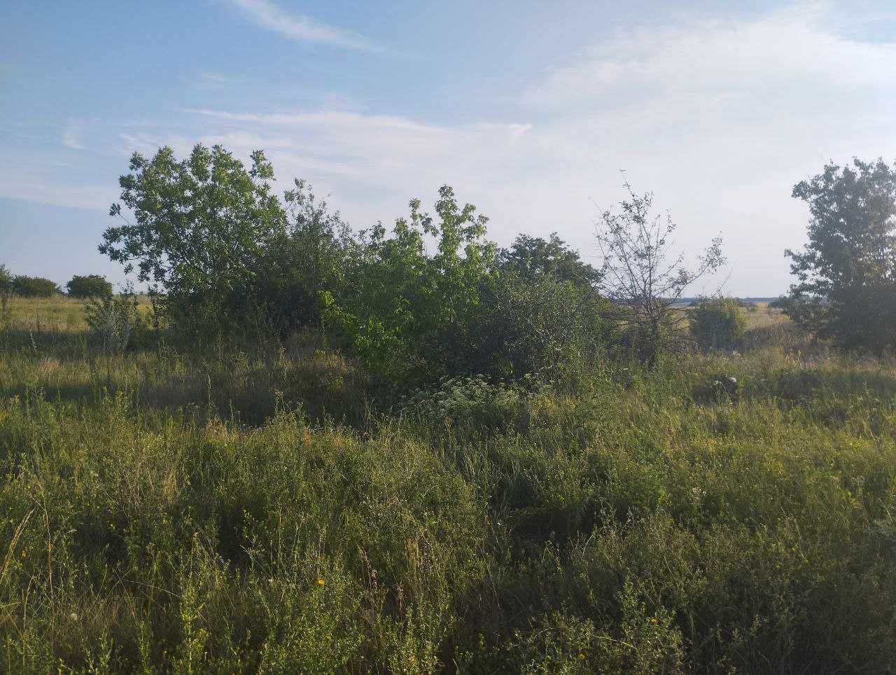 Продам земельні ділянки під забудову