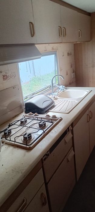 Sprzedam  holenderkę