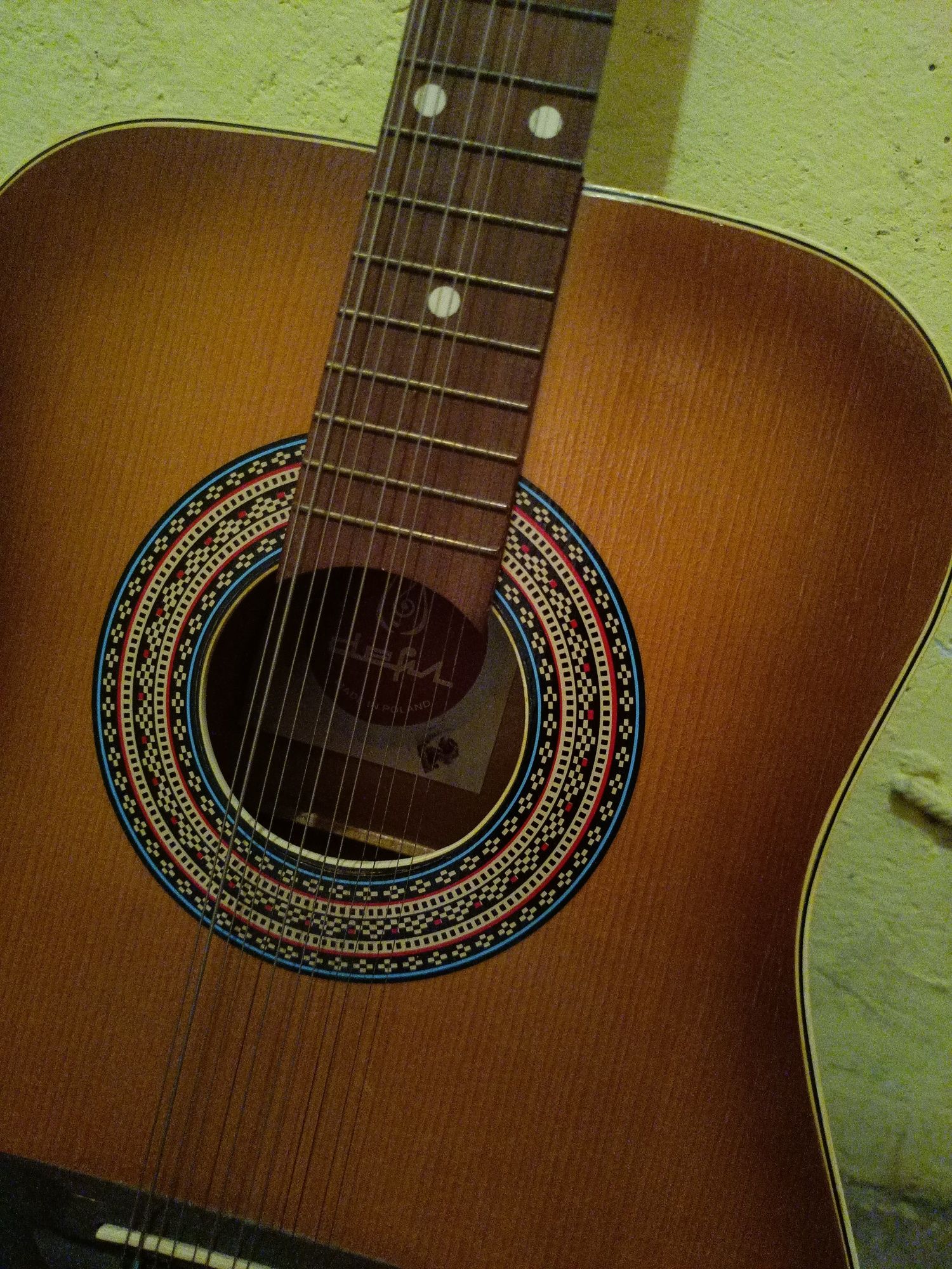 Gitara delfin 12 akustyczna