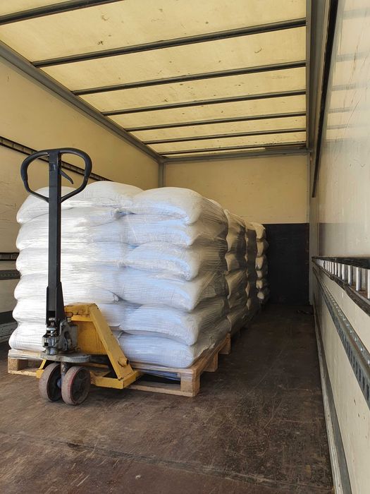 Koniczyna biała white pakowana OCZYSZCZONE ZIARNO KONICZYNY Dowóz F-RA