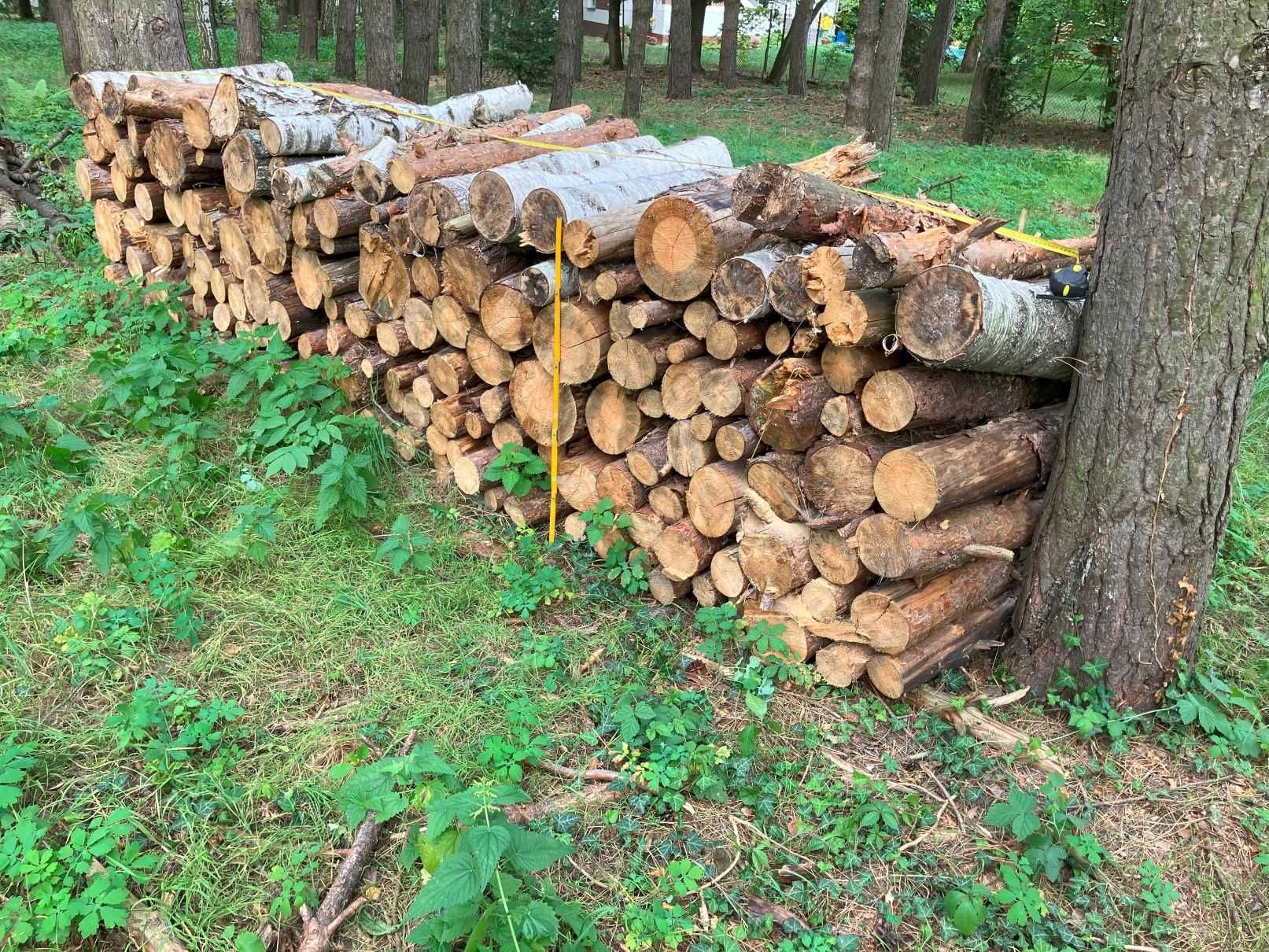 Drewno opałowe sosna / brzoza