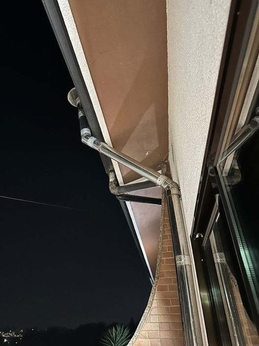 Salamandra como nova