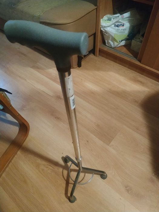Laska na trójnogu