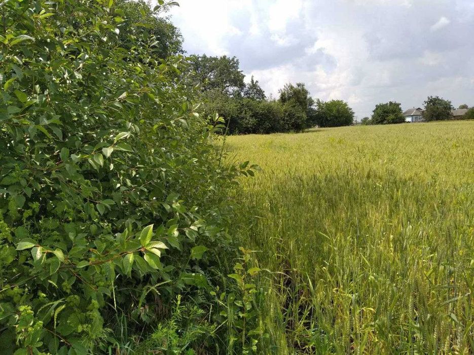 Терміново! Будинок 68 кв.м на ділянці 40 соток в с Шрамки продам