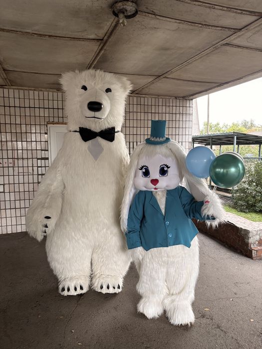 Кривий Ріг пес патрон, мішка, зайка, стіч, скай, гонщік