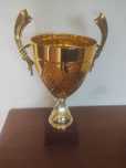 Taças e  troféus