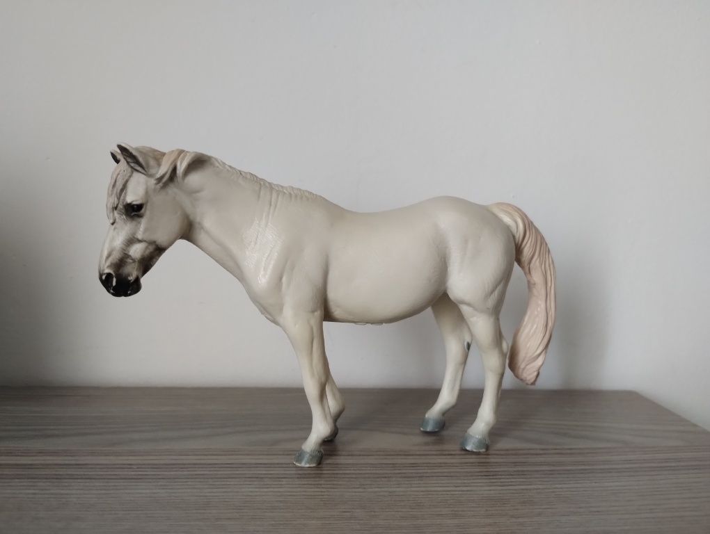 Klacz camargue collecta