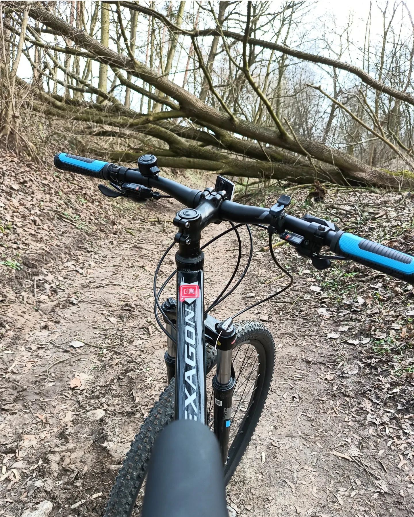 Rower Kross Hexagon 7.0 Rama 17 koła 29