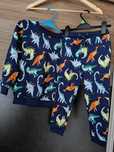 Dres chłopięcy dinozaury 104