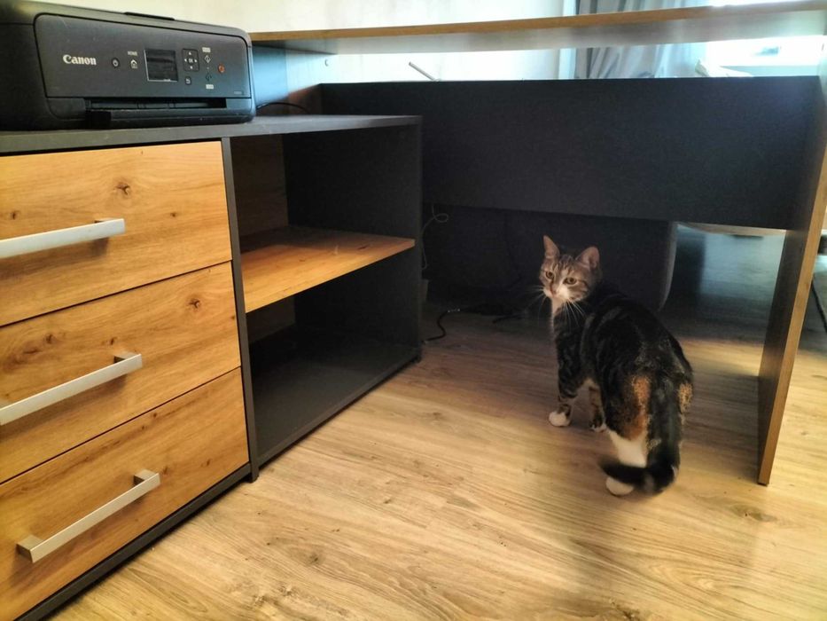 Sprzedam biurko odbiór osobisty biurko narożne Piła