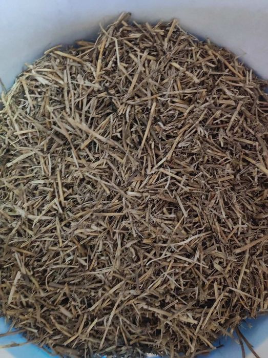 Пирій корінь пирей 500г.