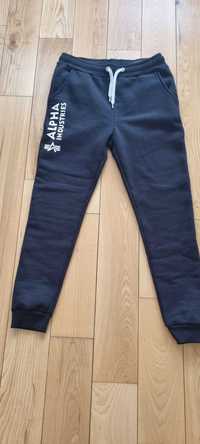 Spodnie dresowe Alpha Industries Basic Jogger SL - Black/rozmiar L