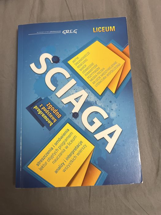 Ściąga język polski