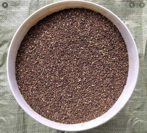 Koniczyna czerwona pakowana OCZYSZCZONE ZIARNO KONICZYNY Dowóz Faktura