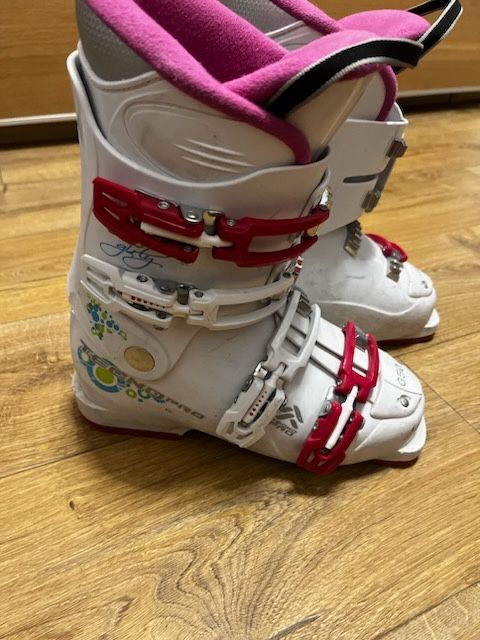 Buty narciarskie 36,5 cm