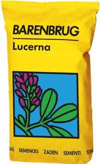 Lucerna YELLOW JACKET Barenbrug