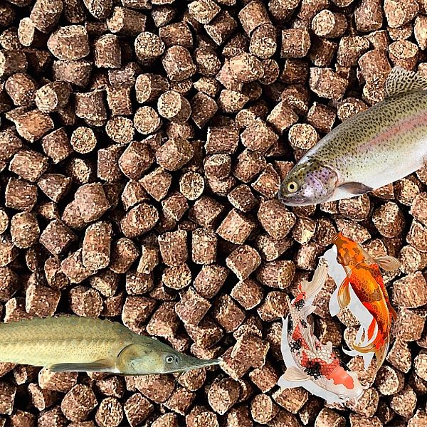 5kg 2mm Aller Classic tonący karma pokarm pstrąg karp worek oczko