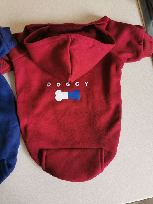 Ubranka dla małego psa