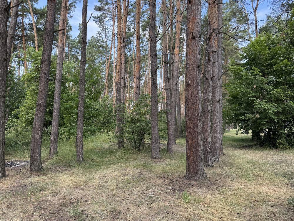 Земельна ділянка біля озера! 20 соток. Нове Залісся.