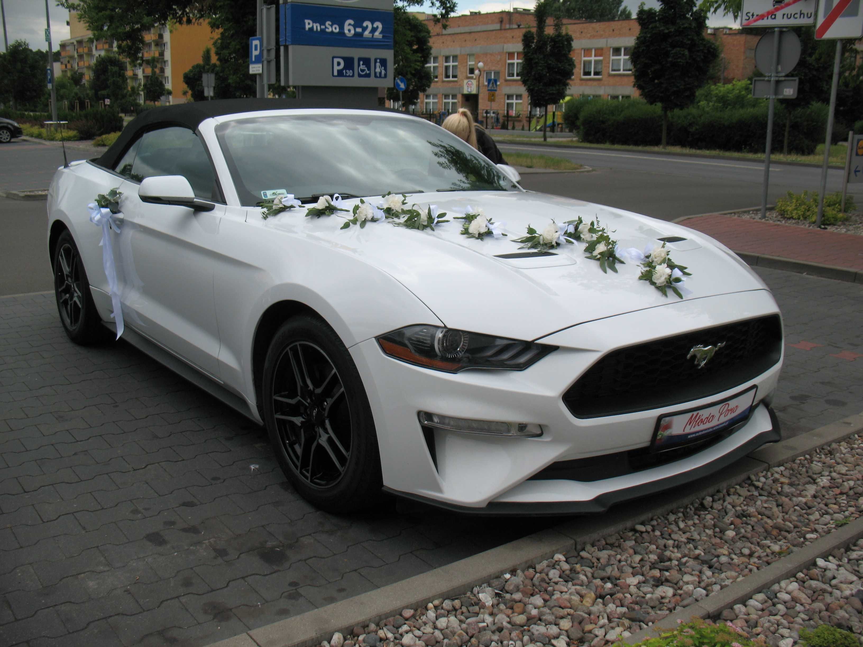 Mustang - samodzielna jazda -Amerykańskie Klasyki - Mercedesy i inne