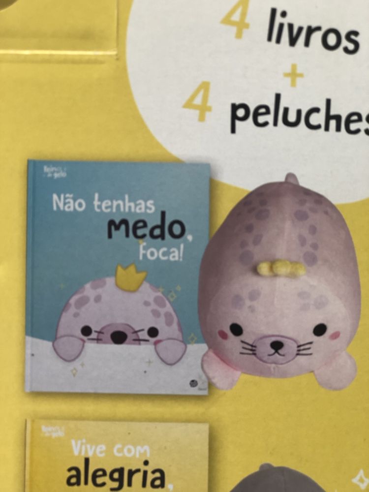 Brinquedos e livros