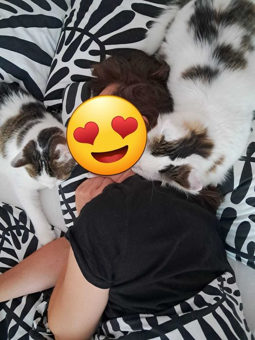 3 letni Fuks wypatruje wymarzonego domu