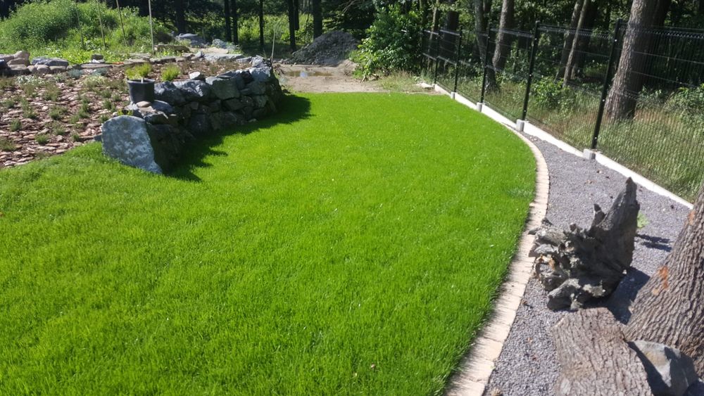 Trawa z rolko PREMIUM trawniki rolowane