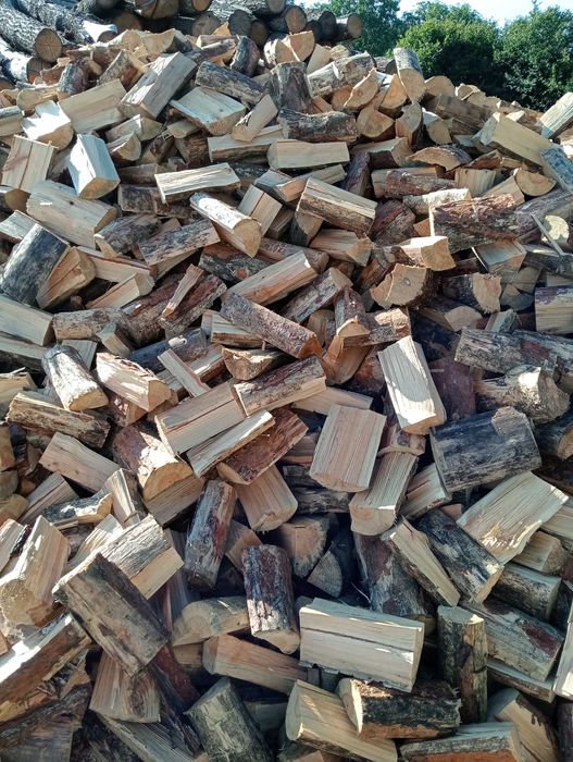 Drewno sosna brzoza dąb buk kominek