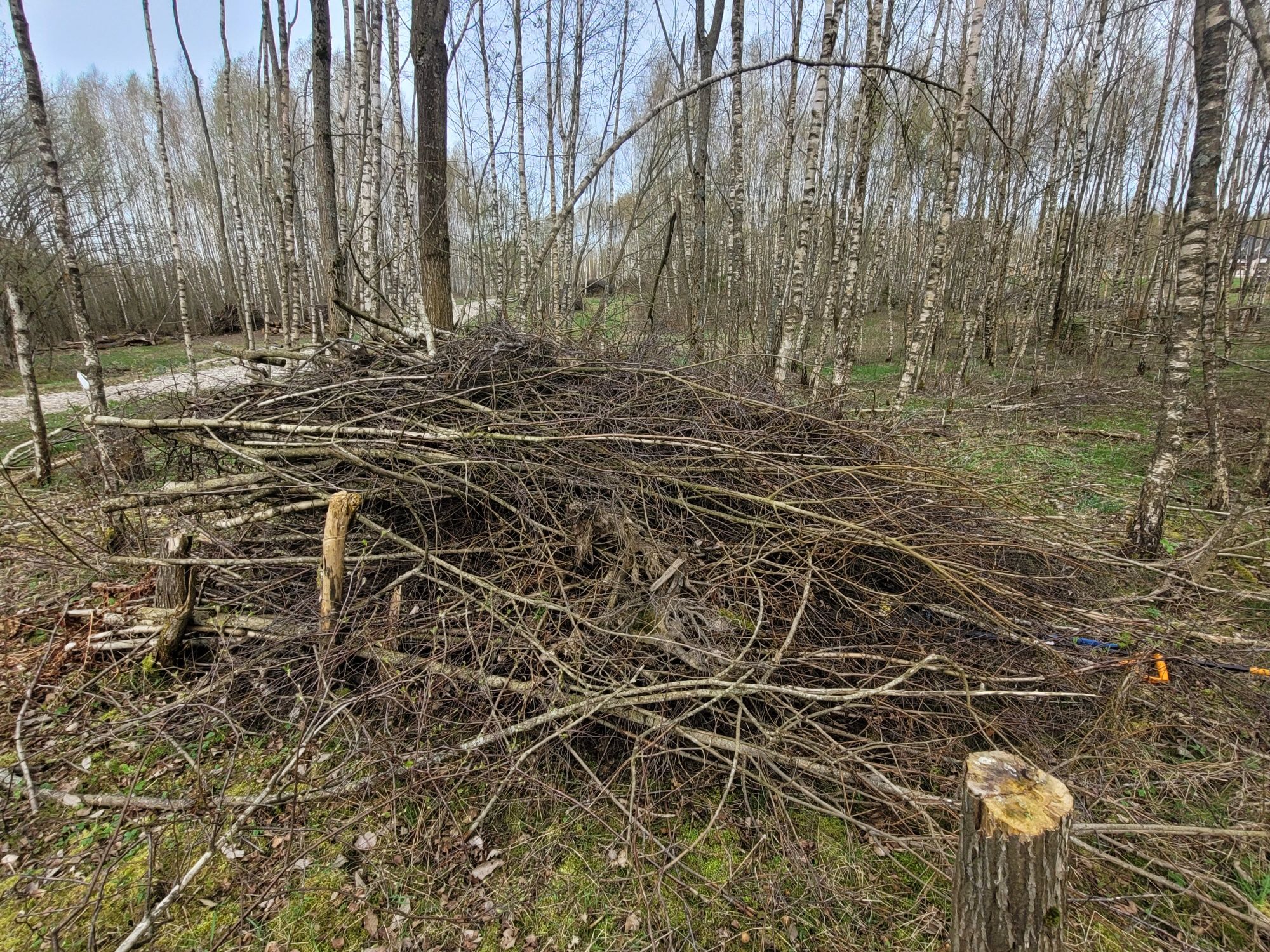 Gałęziówka 200zl za wszystko