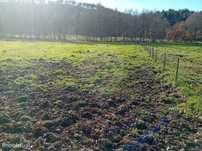 Terreno  para venda