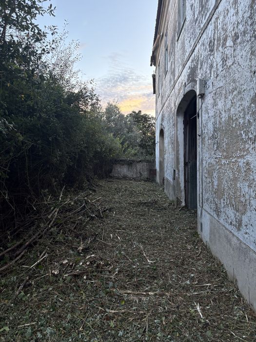 Limpezas de terrenos