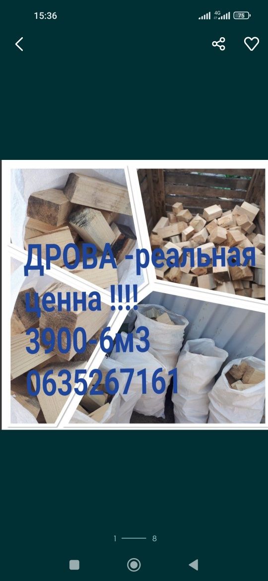 Продам  Дрова Дуб-1700 м3 без предоплаты