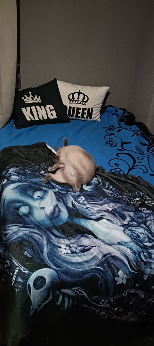 Quarto mobilado com contas incluídas