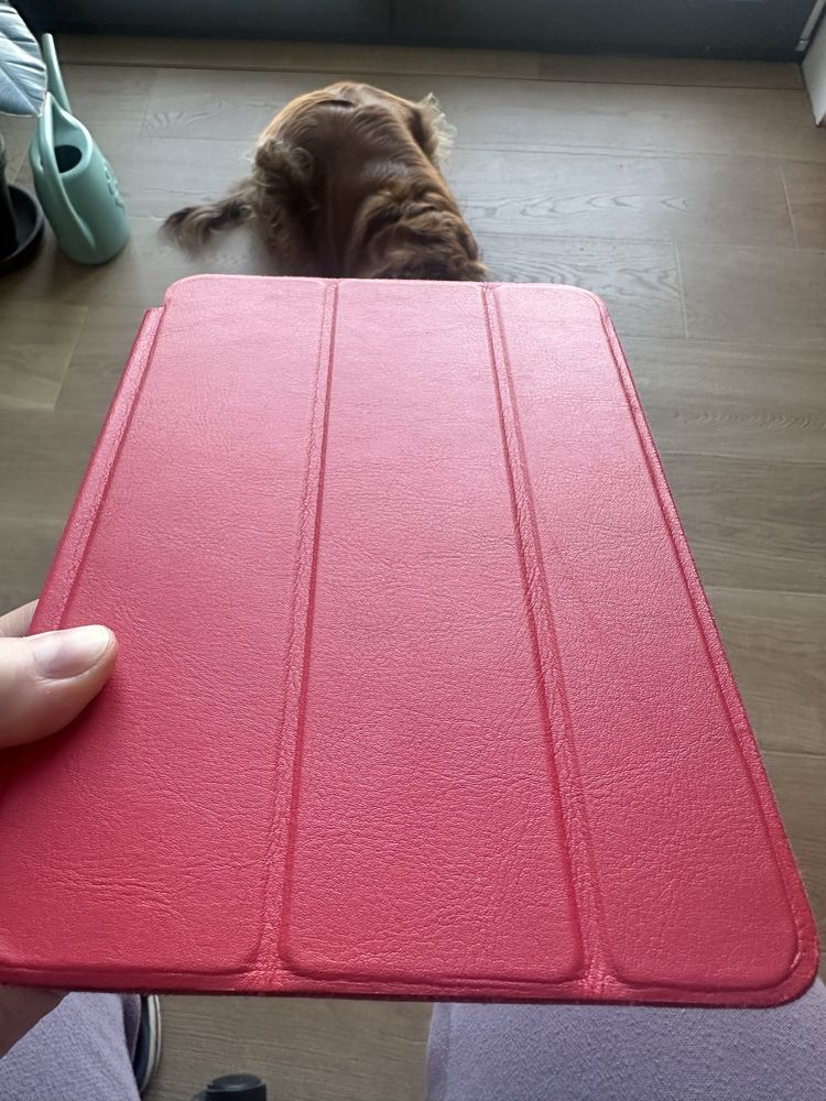 IPad 2 mini wraz z pudelkiem i etui