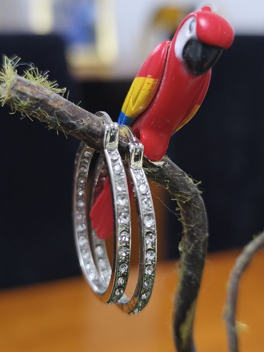 Brincos Oval com Brilhantes em Prata