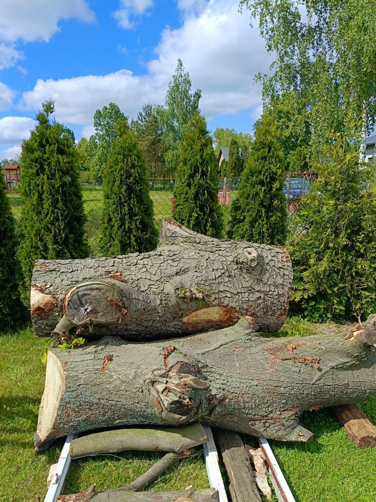 Drzewo na opał lipa, kasztan
