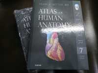 Атлас анатомии Неттер 7е (на английском)\ Atlas of Human Anatomy
