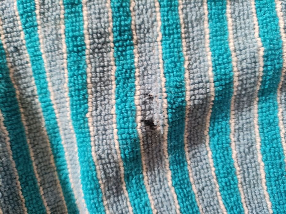 Saco - prancha bodyboard