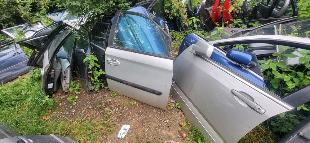 Drzwi gołe  Przód Lewe lub Prawe Voyager 2003