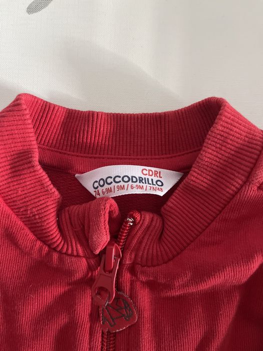 Bluza coccodrillo 74