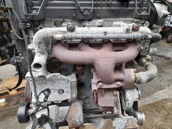 Motor completo FIAT Bravo II (198_)