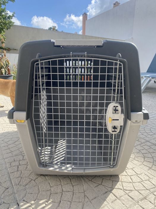 Transportadora cao Gulliver