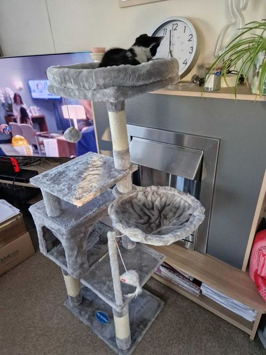 Drapak dla kota z zabawką, wieża dla kotów , domek dla kota, NOWY