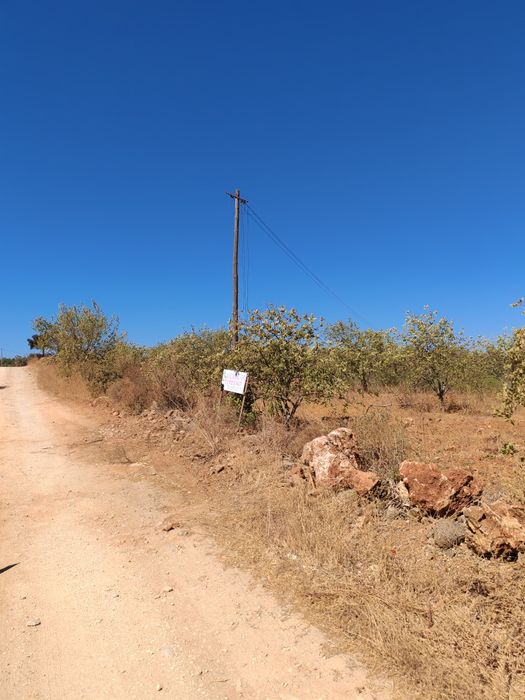 Terreno RUSTICO em Tinhosas SILVES